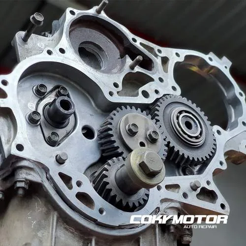 Engranajes internos del motor
