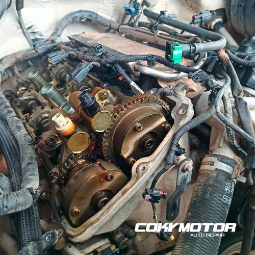 Cadena de distribución y VVT