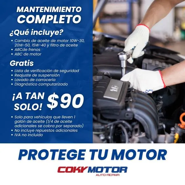 Promo mantenimiento completo a $90