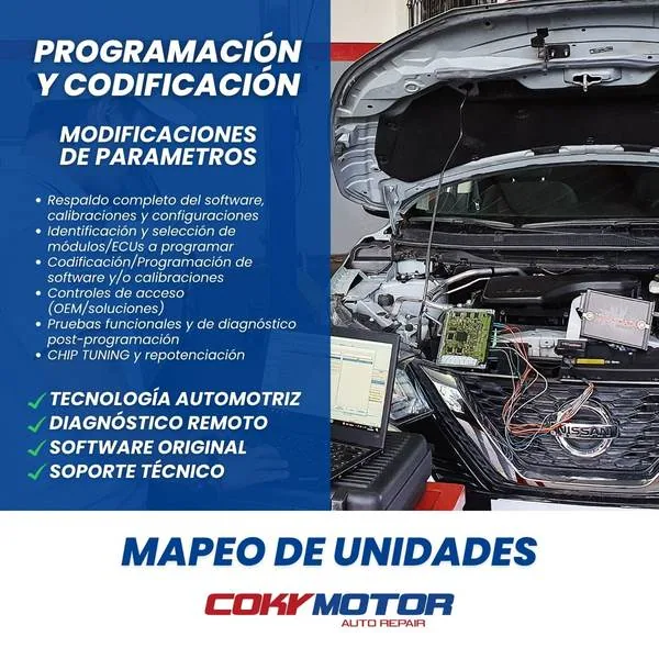 Programación y codificación de módulos